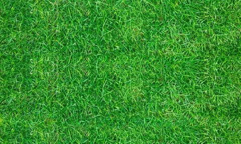 Texture fresh spring grass field Photo background Stock Photos