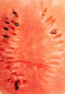 Texture of fresh watermelon Stock Photos