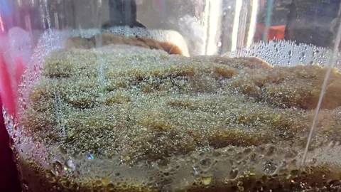 Texture of frozen brown drink in container Stock Footage 344694575