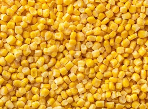 Texture of frozen corn closeup Stock Photos