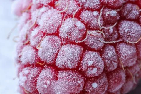 Texture of frozen ripe raspberry, macro view Foto stock