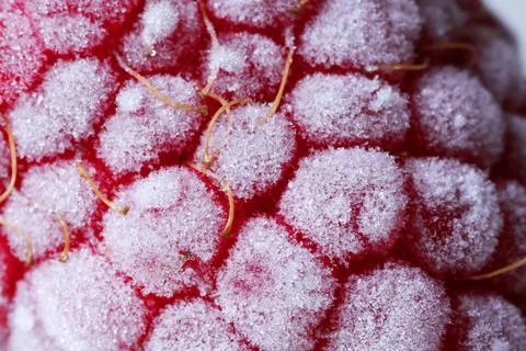 Texture of frozen ripe raspberry, macro view Stock Photos