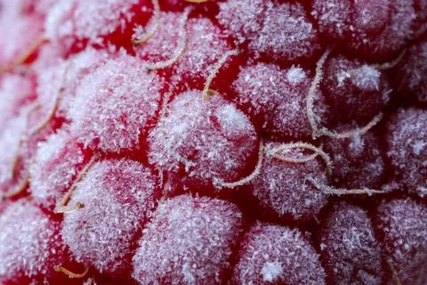 Texture of frozen ripe raspberry, macro view Stock Photos