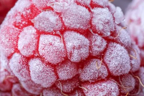 Texture of frozen ripe raspberry, macro view Stock Photos