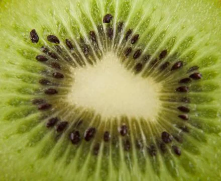 Texture of fruit kiwi as background Stock Photos