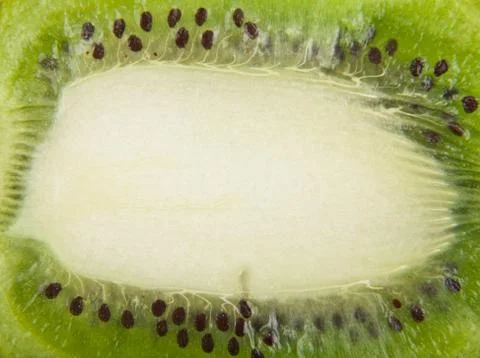 Texture of fruit kiwi as background Stock Photos
