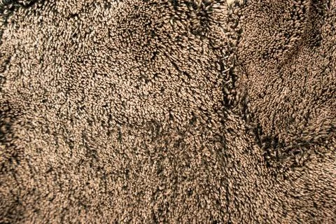 Texture, fur background. Place for text Foto stock