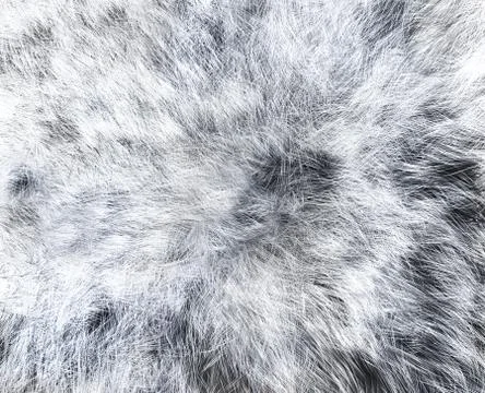 The texture of fur white wolf Stock Illustration