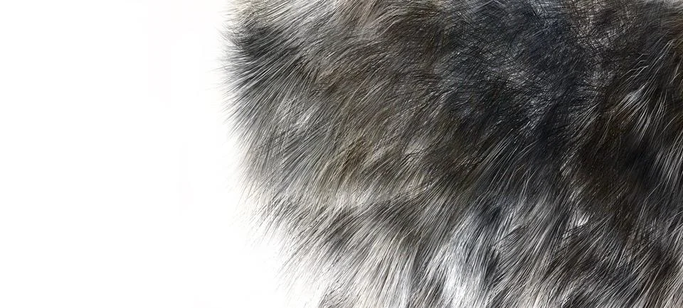 The texture of fur wolf Stockillustratie