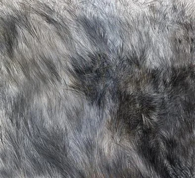The texture of fur wolf Stockillustratie