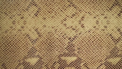 Texture genuine leather, embossed under skin sand python, background. Dolly Stock Footage 71954564