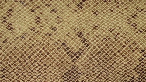 Texture genuine leather, embossed under skin sand python, background. Dolly Stock Footage 71954940