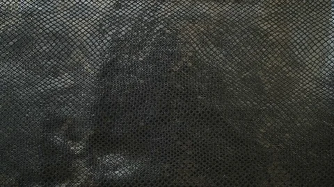 Texture genuine leather, embossed under skin black python, background. Dolly Stock Footage 71972270