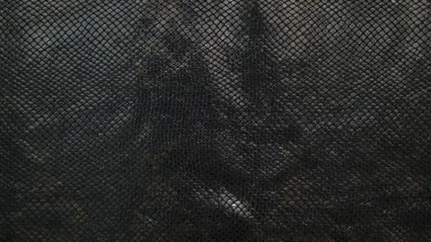 Texture genuine leather, embossed under skin black python, background. Dolly Stock Footage 71972537