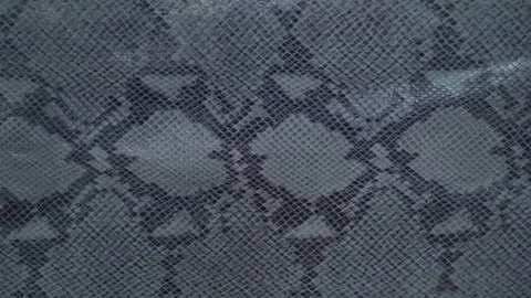 Texture genuine leather, embossed under skin gray python, background. Dolly Left Stock Footage 71975384