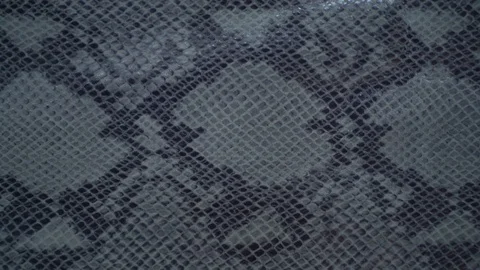 Texture genuine leather, embossed under skin gray python close up, background 動画素材 71975964