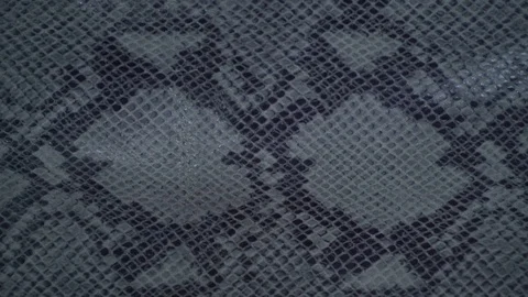 Texture genuine leather, embossed under skin gray python close up, background Stock Footage 71976265