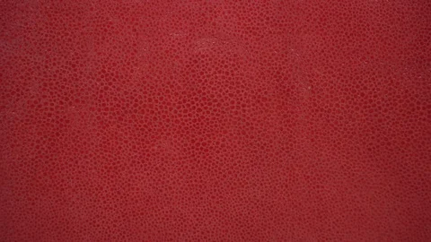 Texture genuine leather, embossed under skin, background. Dolly Left Right Stock Footage 72009320