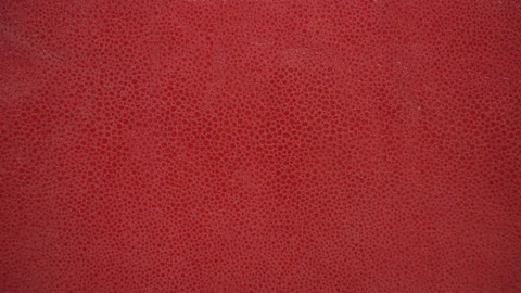 Texture genuine leather, embossed under skin, background. Dolly Right Left Stock Footage 72009369