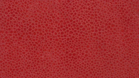 Texture genuine leather, embossed under skin close up, background. Dolly Left 動画素材 72009527