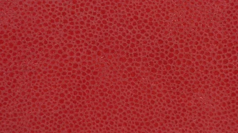 Texture genuine leather, embossed under skin close up, background. Dolly Right Stock Footage 72009718