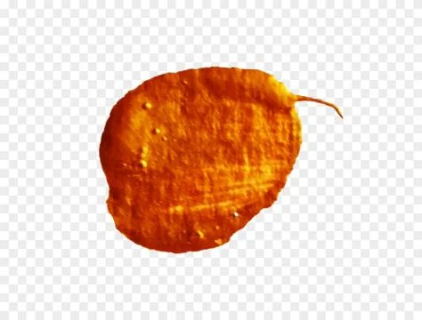 Texture golden brush Stock Illustration