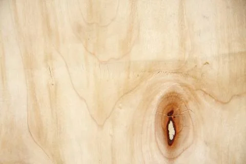 Texture of grain wood Stock Photos
