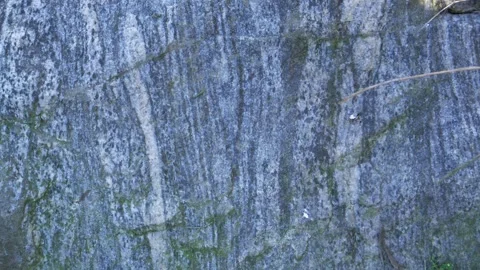 Texture of granite stone in wild. Stock Footage 252125617