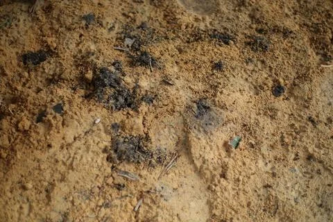 Texture of granular earth surface with dark inclusions, creating earthy and.. Stock Photos