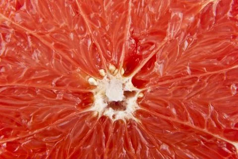 Texture of the grapefruit pulp Stock Photos
