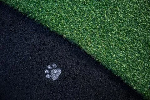 Texture of grass and asphalt with paint of pet footprint Stock Photos