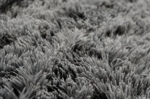 The texture of the grass covered Stock Photos