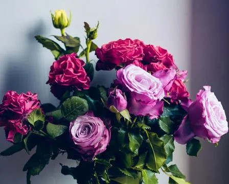 Texture grass. Pattern texture of leaves. Tropical leaves texture. Background Stock Photos