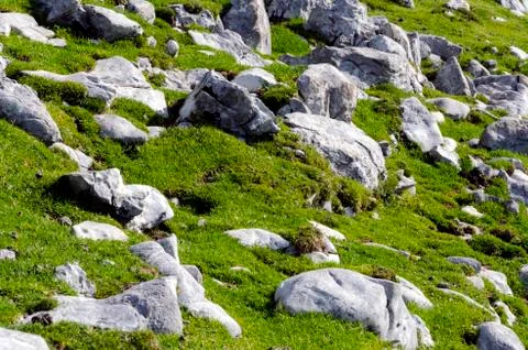 Texture of grass with rocks. Stock Photos