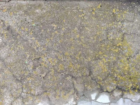 Texture gray background. Stock Photos