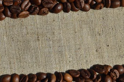 Texture of a gray canvas made of old and coarse burlap with coffee beans on i Stock Photos