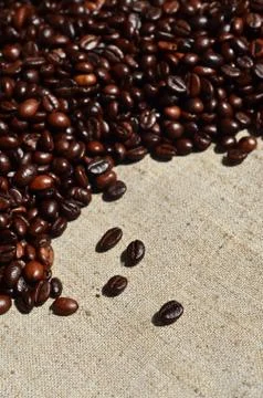 Texture of a gray canvas made of old and coarse burlap with coffee beans on i Stock Photos