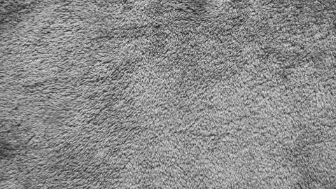 Texture of gray carpet background. Stock Photos