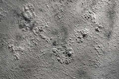 Texture of gray decorative plaster or concrete. Stock Photos