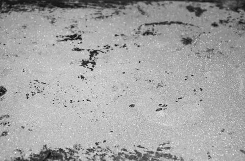 The texture of a gray dirty surface . Stock Photos