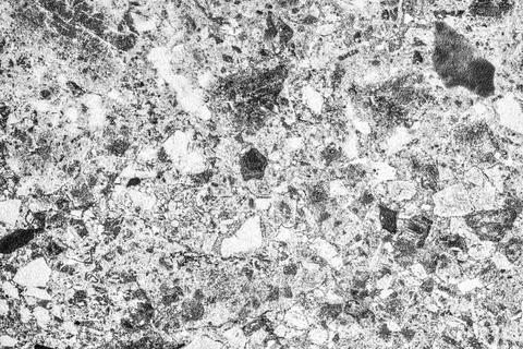 Texture of gray granite tiles. Stock Photos
