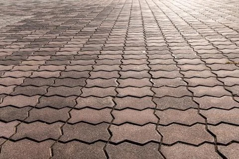 Texture of gray paved path is in the park in autumn Stock Photos