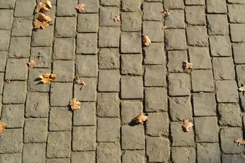 Texture of gray rectangular concrete stone paving slabs on the road with seam Stock Photos