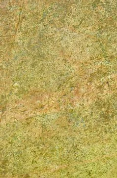 Texture of gray stone with lichen close up macro Stock Photos