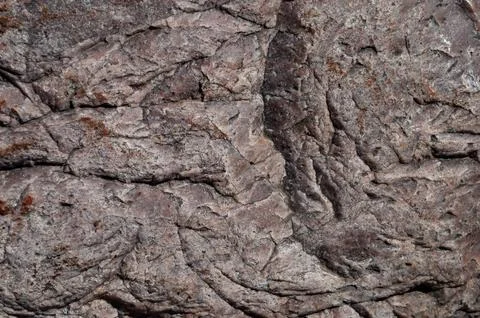 Texture of gray stone Stock Photos