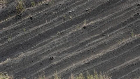 Texture of gray volcanic sand layers Stock Photos