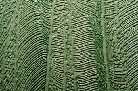 Texture green abstract background closeup Stock Photos