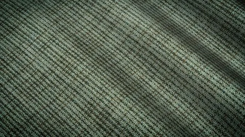 Texture of Green Cotton, Waves, Background, Unique Design, Exclusive Stock Footage 302181336