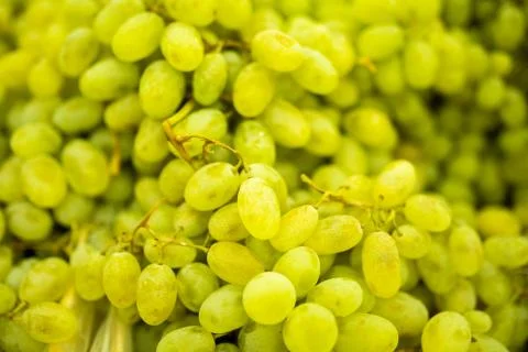 The texture of green grapes. Fruit texture Stock Photos