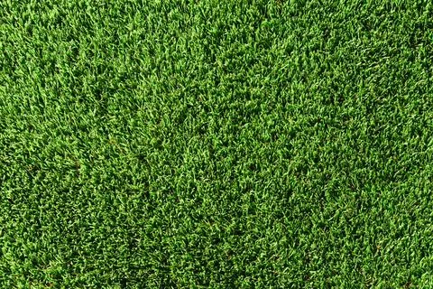 Texture green grass. Background of green turf grass. Texture coating of a Stock Photos